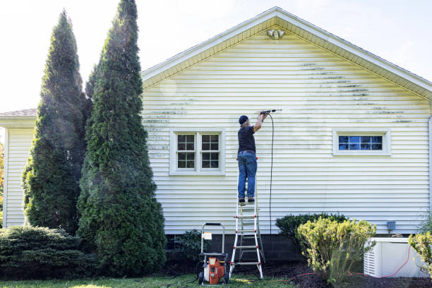 Best Best Pressure Washing Companies  in Ruch, OR