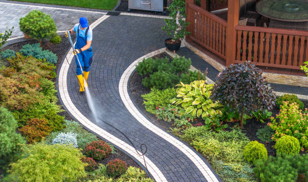 Best Pressure Washing Driveway  in Ruch, OR
