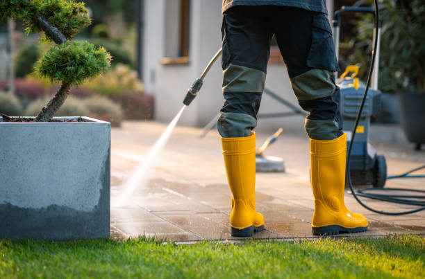 Best Affordable Power Washing  in Ruch, OR